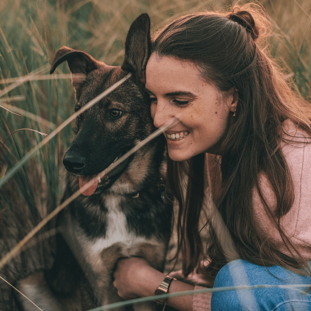 Suplementos para mascotas: ¿Cuándo usarlos?