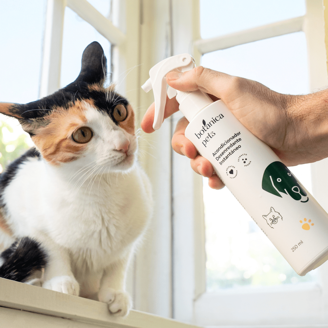 Muda en gatos: Consejos para su rutina