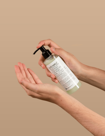 aloe sabila cuidados niños